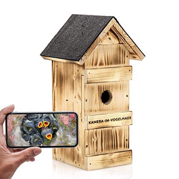 Vogelhaus mit WLAN Kamera